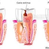 Dr. Badea - cabinet stomatologie nonstop